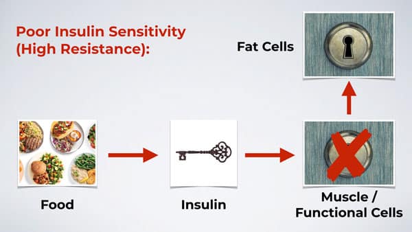 How Insulin Effects Your Ability To Build Muscle Building And Lose Fat