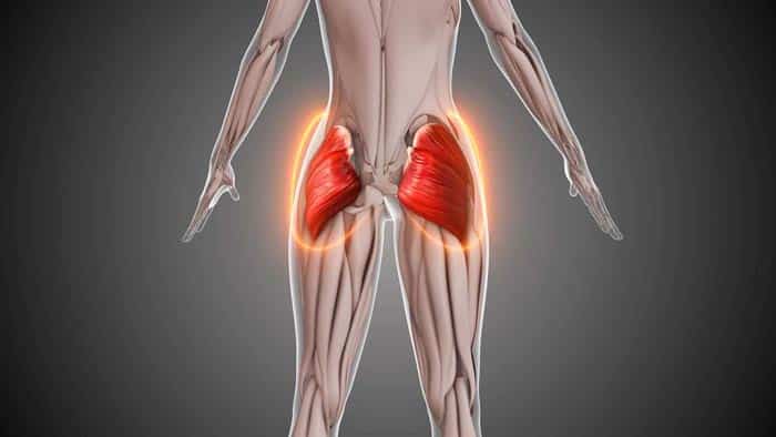 Balanced Glutes