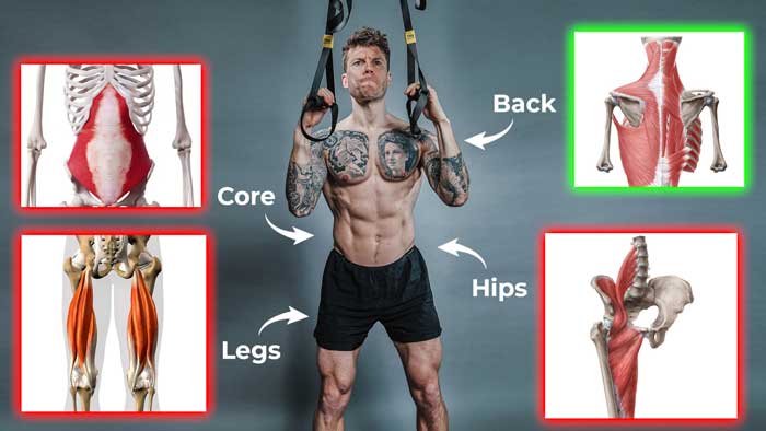 What most back routines miss - your core, hips, and legs - the full kinetic chain