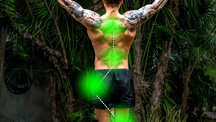 Kinetic back chain to strengthen for a strong back