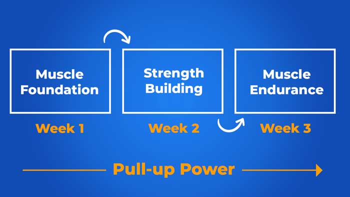 3 TRX Exercises to Build Pull Up Strength FAST