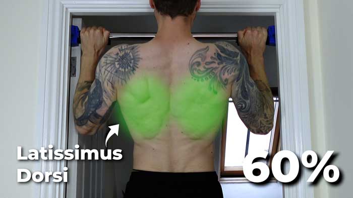 Doing a pull up traps muscle