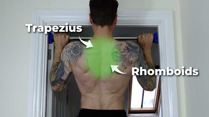 doing a pull up back muscles