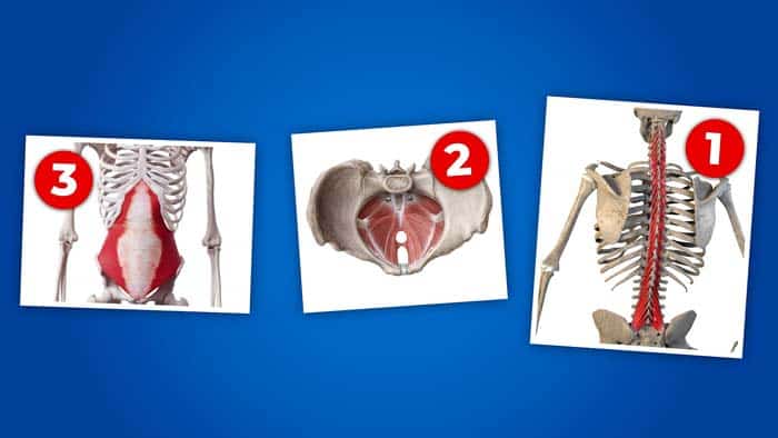 3 TRX Core Exercises That Turn Your Spine Into STEEL