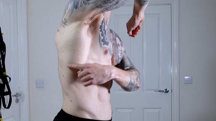 Lat back muscle