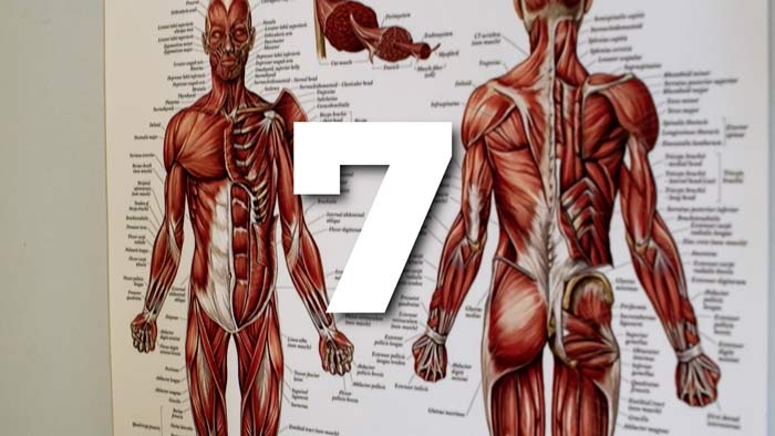 7 TRX Posture Exercises That Fix 95% of Your Problems